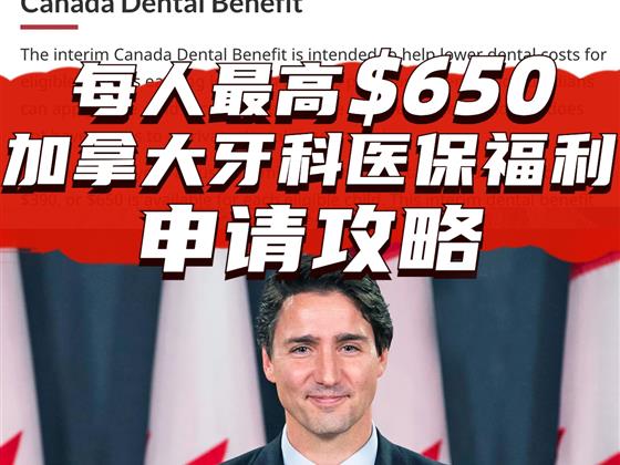 加拿大$650加元牙科保险补贴申请指南‼️一步到位攻略！