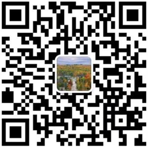 安达专业搬家公司
