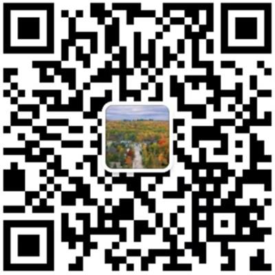 安达专业搬家公司