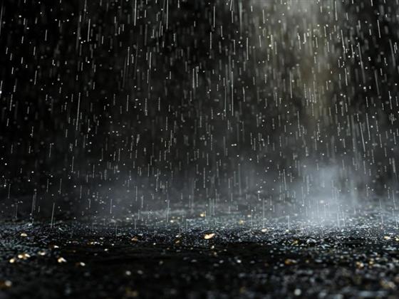 关于8月9日特大降雨引发洪灾的kirkland市政公告