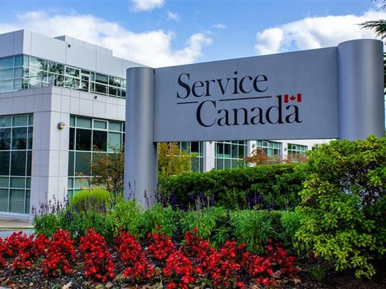 联邦部门招聘400岗，Service Canada 客服职位年薪达6.1万–6.9万，加拿大各地均可申请（无需大学学位