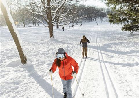 周日免费越野滑雪课程就在蒙特利尔这个公园Parc Raimbault