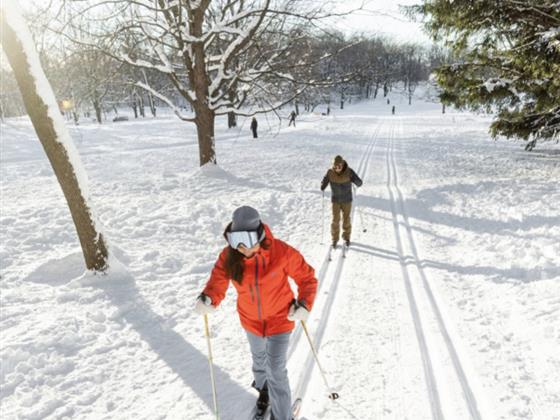 周日免费越野滑雪课程就在蒙特利尔这个公园Parc Raimbault