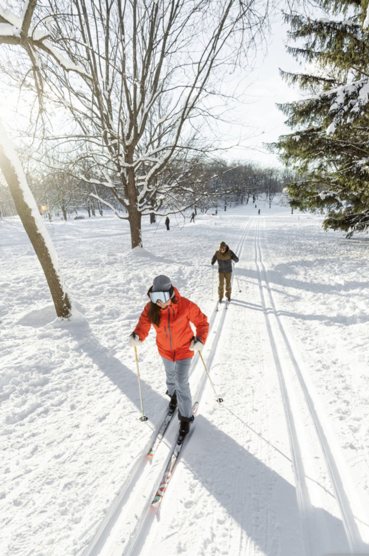 周日免费越野滑雪课程就在蒙特利尔这个公园Parc Raimbault