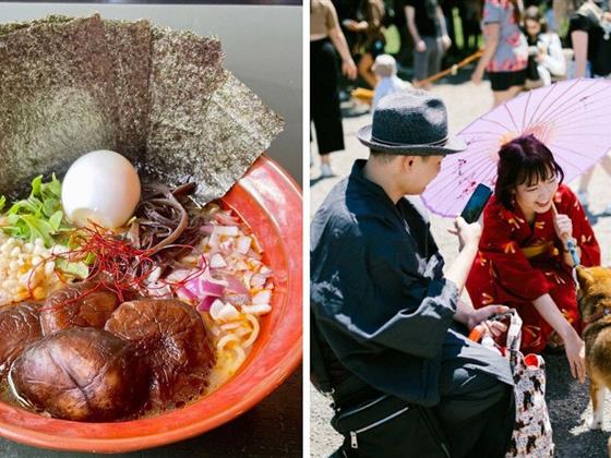 蒙特利尔的日本周：11天尽享拉面、清酒与柴犬的美好盛宴