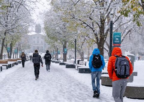 蒙特利尔或将在今年万圣节前迎来首场降雪