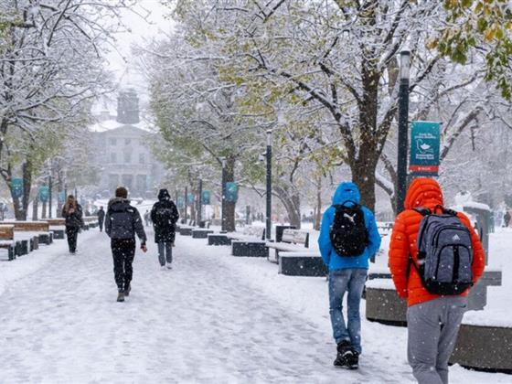 蒙特利尔或将在今年万圣节前迎来首场降雪