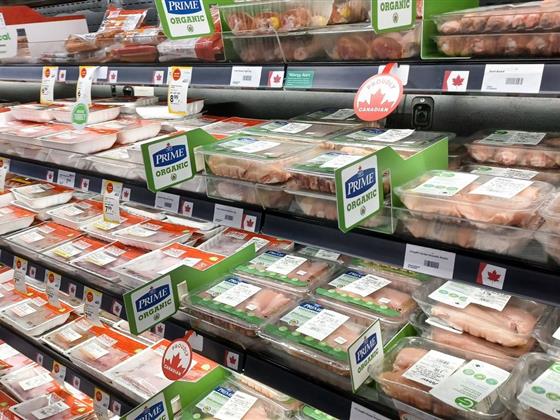 加拿大人或许很快就能享用“克隆”肉，而不用担心被发现