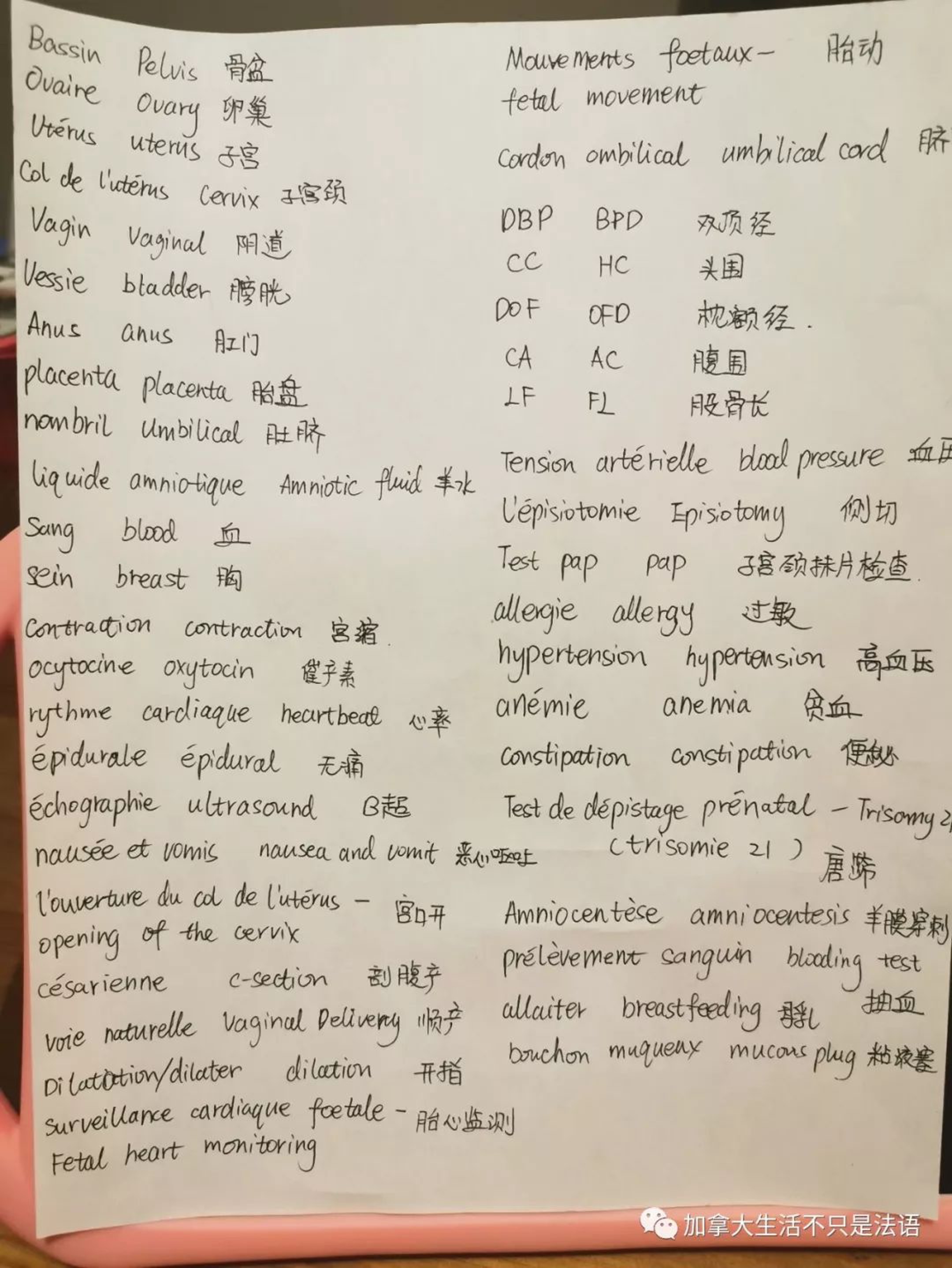 怀孕生产必备词汇（中英法）及医院诊室词汇