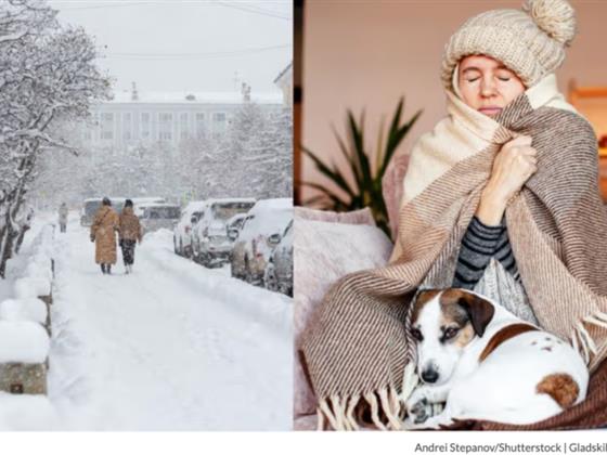 加拿大冬季天气新预测揭晓：冷空气来袭，雪季准备好了吗