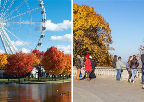 蒙特利尔五大免费秋日打卡必做，让你无需开车也能尽情享受秋色集美颜助