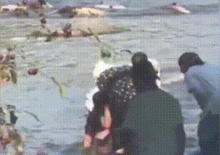 危机降临！加拿大新移民引发全国热议，网友愤怒声浪一波接一波