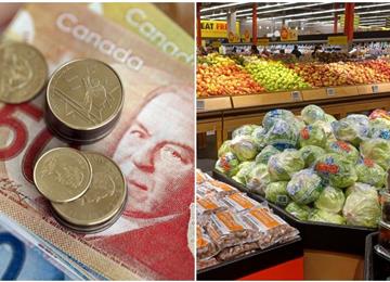 加拿大将发放一次性食品补助：何时到账及各类家庭可得金额