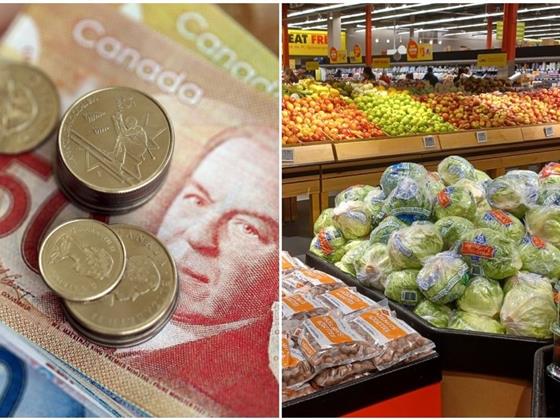 加拿大将发放一次性食品补助：何时到账及各类家庭可得金额
