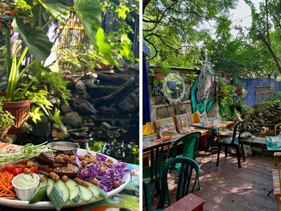隐于市区的梦幻咖啡馆：Café Santropol 的绿意庭院、暖灯与锦鲤池
