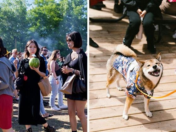 蒙特利尔即将迎来超级日本街头美食盛宴，宠物狗也可一同参与