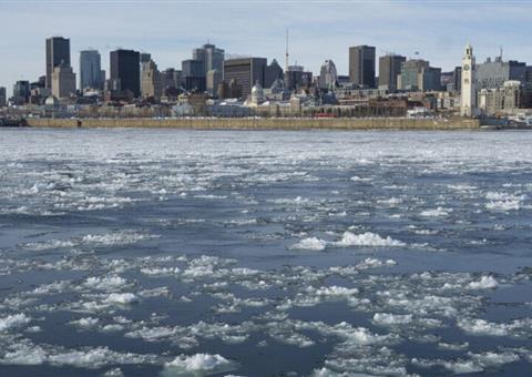 蒙特利尔发布“霜冻”预警，是时候穿上你的棉衣了