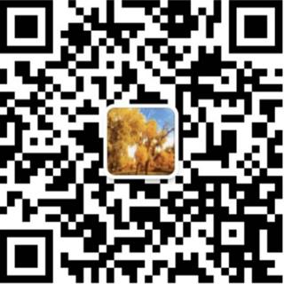 奔驰接送车队