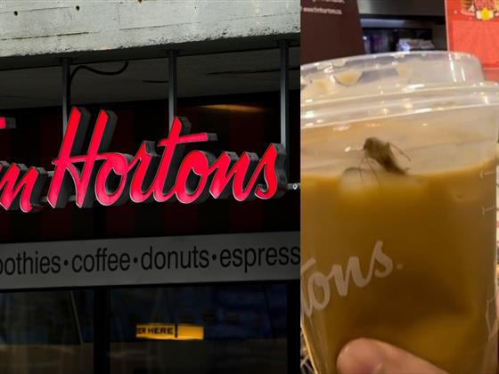 Markham女子在Tim Hortons咖啡中发现蟑螂，正考虑提起法律诉讼