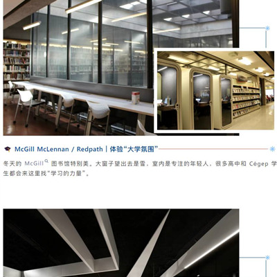 【书香暖冬】📚 蒙特利尔冬季学习好去处：图书馆推荐