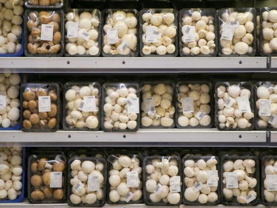 魁北克多款食品被召回：蘑菇、碎肉等受影响产品名单公布