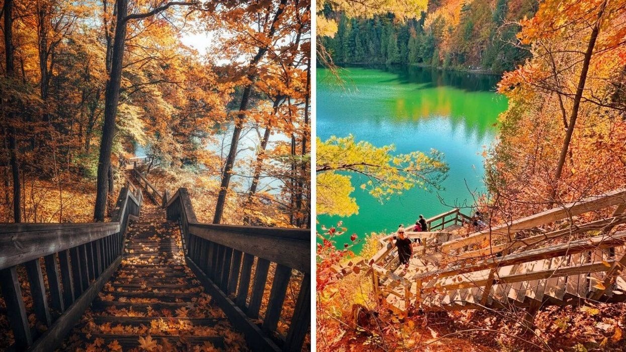 蒙特利尔附近壮丽徒步:穿越红金林海,邂逅罕见碧绿湖泊