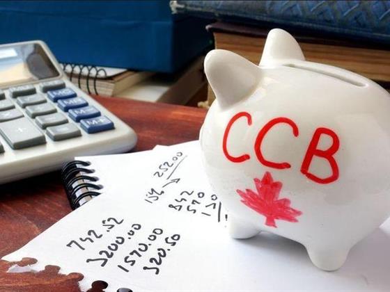 加拿大儿童福利-牛奶金（CCB）申请
