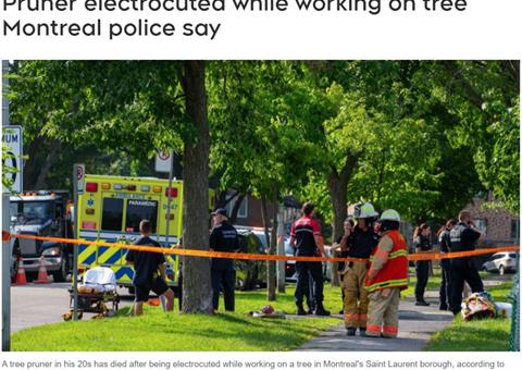 年轻树木修剪工在蒙特利尔不幸遭遇电击身亡