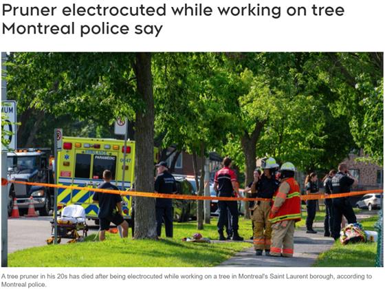 年轻树木修剪工在蒙特利尔不幸遭遇电击身亡