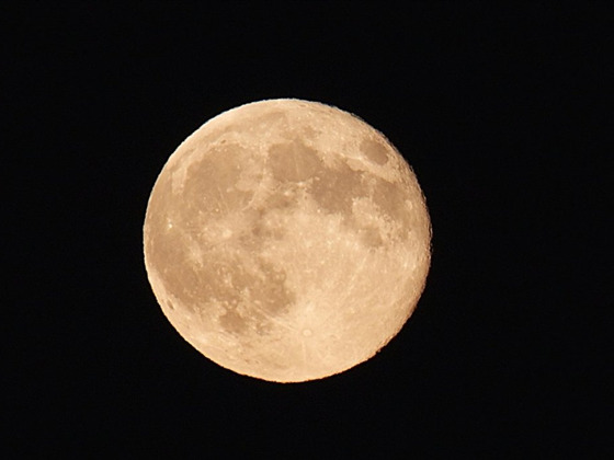 蒙特利尔今夜可观测壮丽月偏食：观测时间与拍摄指南