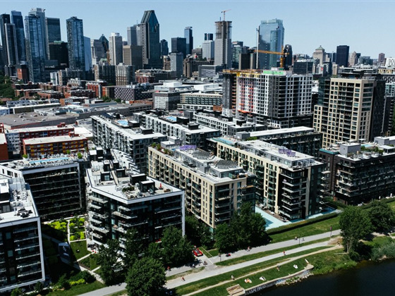 加拿大多数地区租金回落，为何蒙特利尔逆势上涨