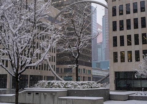 蒙特利尔地标下将开放免费滑冰场：最新进展一览