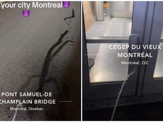 一位蒙特利尔TikTok网红因在城市标志性建筑“随地小便”走红网络
