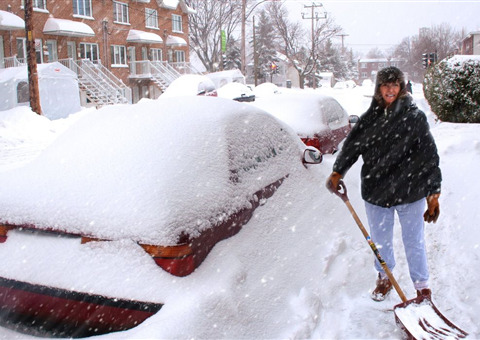 蒙特利尔居民分享：严冬生存的11个必备技巧