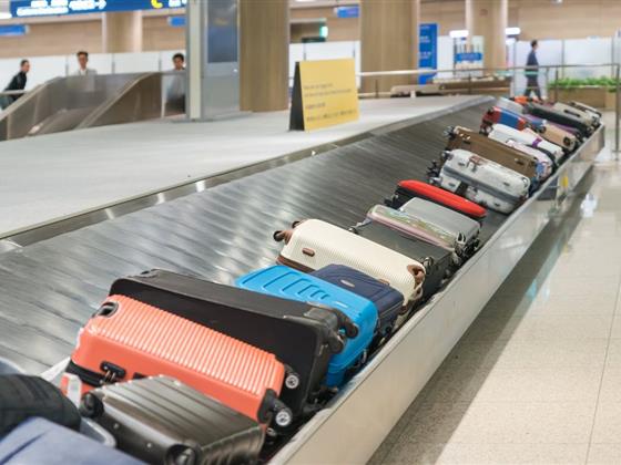 蒙特利尔主要航空公司行李费用大从加航到西捷一网打尽