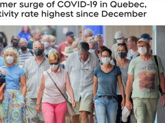魁省新冠疫情再度升级：每周死亡人数超30人，警钟敲响
